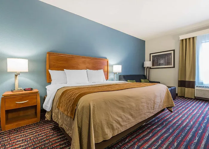 Comfort Near I-255 Inn 4*