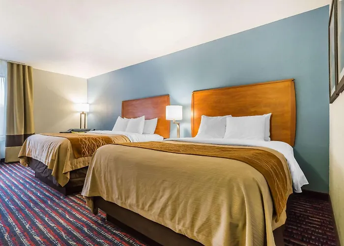 Comfort Near I-255 Inn Alton