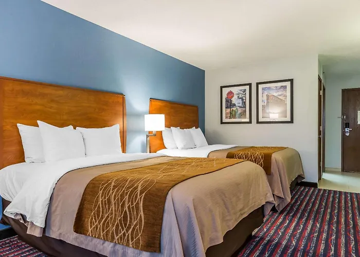 Comfort Near I-255 Inn Alton