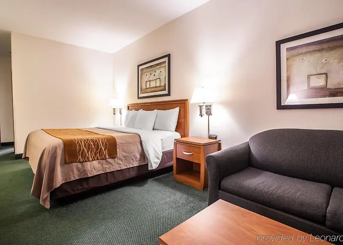 Comfort Near I-255 Inn 4*