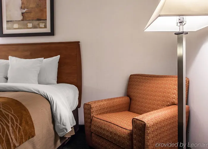 Comfort Near I-255 Inn