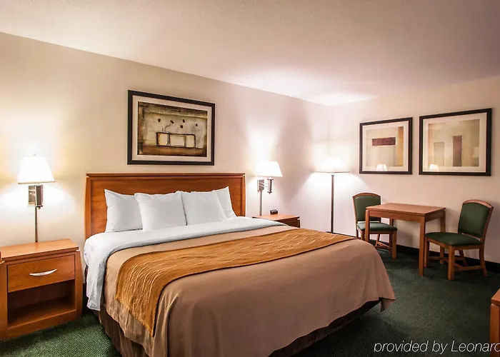 Comfort Near I-255 Inn Alton